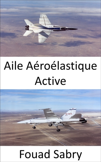 Aile Aéroélastique Active - Améliorer la maniabilité des avions à des vitesses transsoniques et supersoniques - cover