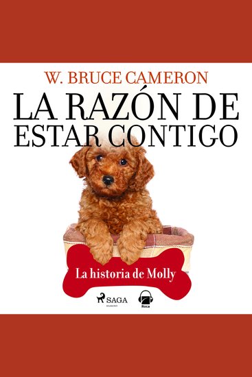 La razón de estar contigo La historia de Molly - cover