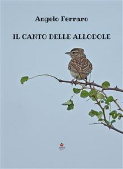 Il canto delle allodole - cover
