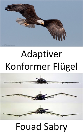 Adaptiver Konformer Flügel - Keine Klappen mehr die Flugzeugflügelform verändert sich jetzt - cover