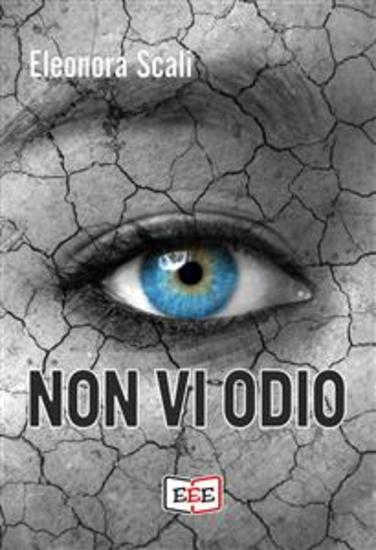 Non vi odio - cover