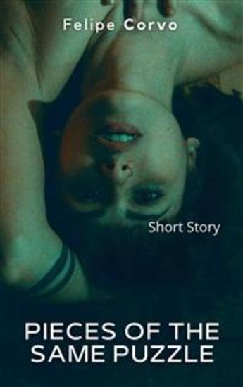 Pieces Of The Same Puzzle - Erotica Bdsm - cover