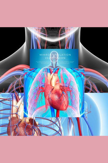 Mikrozirkulation verbessern das kardiovaskuläre System stärken Herz-Hirn-Kohärenz fördern - Zelluläre Selbstregulation aktivieren & Energie auf Zellebene steigern durch moderne Biofrequenztechnologie - cover