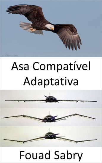 Asa Compatível Adaptativa - Não há mais flaps a forma da asa da aeronave agora está se transformando - cover