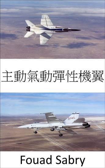 主動氣動彈性機翼 - 提高飛機在跨音速和超音速下的機動性 - cover