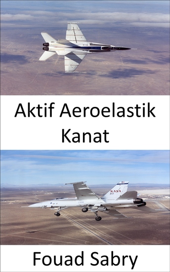 Aktif Aeroelastik Kanat - Uçağın manevra kabiliyetini transonik ve süpersonik hızlarda geliştirin - cover
