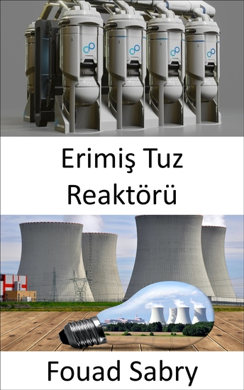 Erimiş Tuz Reaktörü - Nükleer enerjinin geleceğinde yakıt döngüsünü yeniden düşünmek? - cover