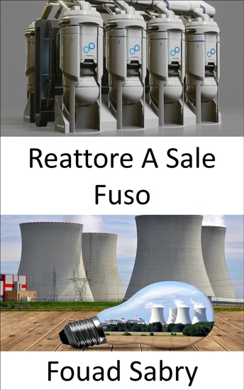 Reattore A Sale Fuso - Ripensare il ciclo del combustibile nel futuro del nucleare? - cover