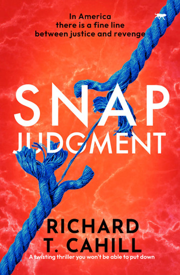 Snap Judgment - A twisting thriller you won't be able to put down - cover