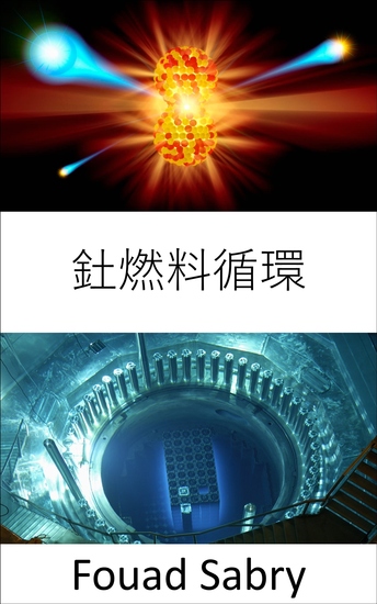 釷燃料循環 - 在沒有鈾燃料的情況下建造核反應堆 - cover