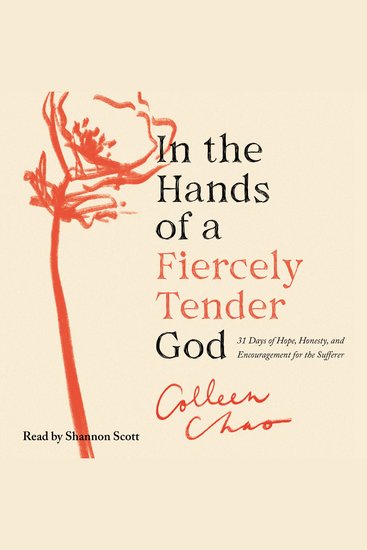 In the Hands of a Fiercely Tender God - 31 Days of Hope Honesty and Encouragement for the Sufferer - cover