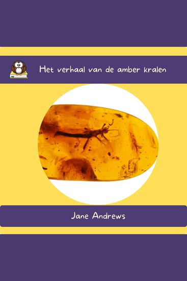 Het verhaal van de amber kralen - cover