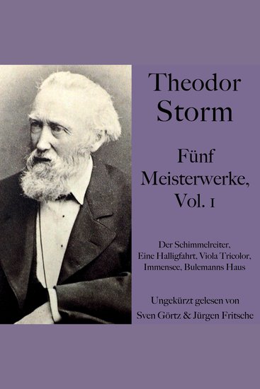 Theodor Storm: Fünf Meisterwerke Vol 1 - Der Schimmelreiter Eine Halligfahrt Viola Tricolor Immensee Bulemanns Haus - cover
