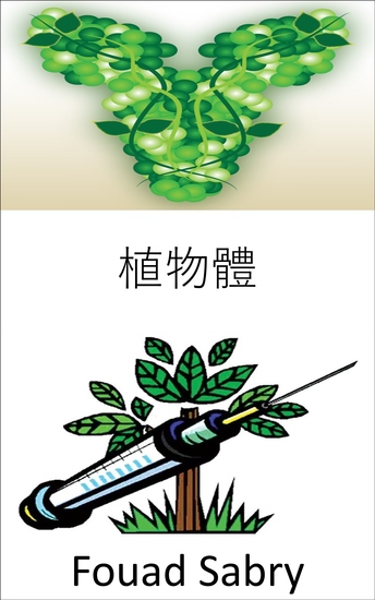 植物體 - 使用具有動物 dna 的植物生產抗體以中和疾病 - cover