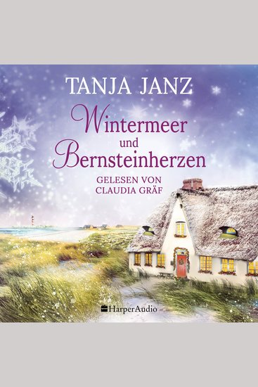 Wintermeer und Bernsteinherzen (ungekürzt) - cover