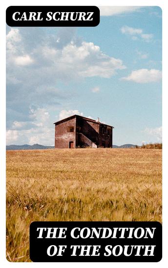 The Condition of the South - cover