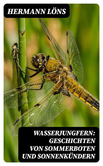 Wasserjungfern: Geschichten von Sommerboten und Sonnenkündern - cover