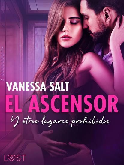 El ascensor y otros lugares prohibidos - an erotic series - cover