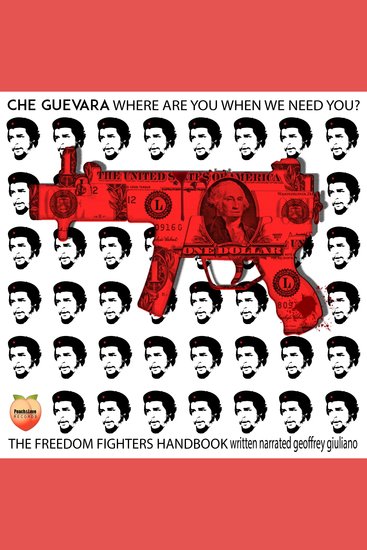 Che guevara where are you when we need you? - a freedom fighters handbook - cover