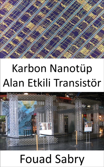 Karbon Nanotüp Alan Etkili Transistör - Araştırma tesisinden üretim katına geçişin yapılması - cover
