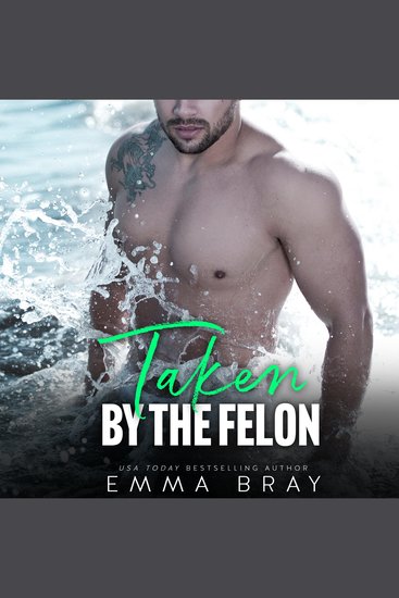 Taken by the Felon - cover