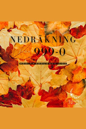 Nedräkning från 999-0: Med prasslande lön - cover