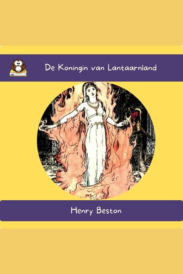 De Koningin van Lantaarnland - cover