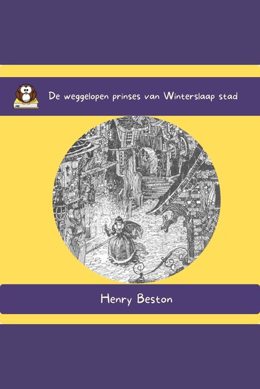 De weggelopen Prinses van Winterslaap stad - cover