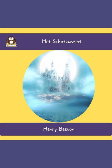 Het Schatkasteel - cover