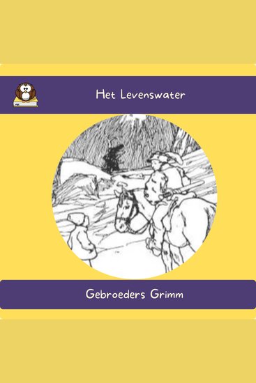Het Levenswater - cover