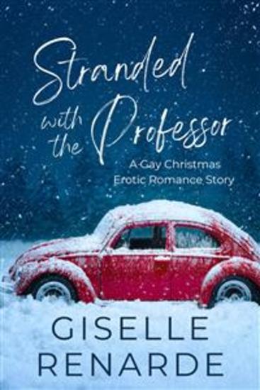 Stranded with the Professor - A Gay Christmas Erotic Romance Story - cover