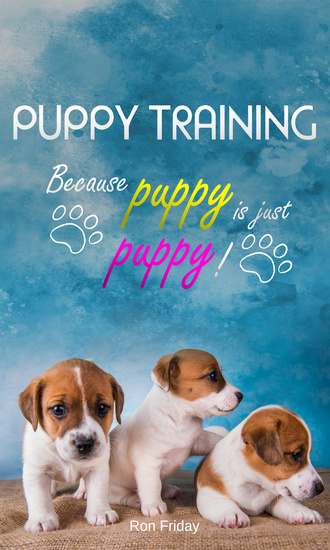 Puppy training because puppy is just puppy! - cover