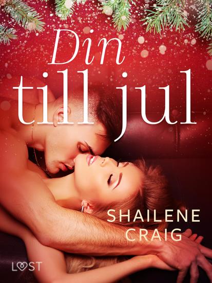 Din till jul - erotisk julnovell - cover