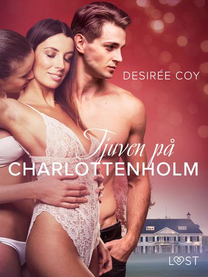 Tjuven på Charlottenholm - erotisk spänningsnovell - cover