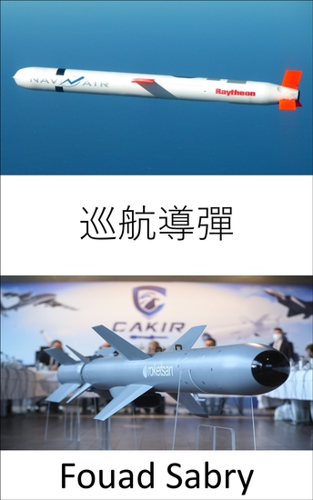 巡航導彈 - 亞音速、超音速或超音速； 自助導航； 非彈道和極低高度軌跡； 高精度銷毀 - cover