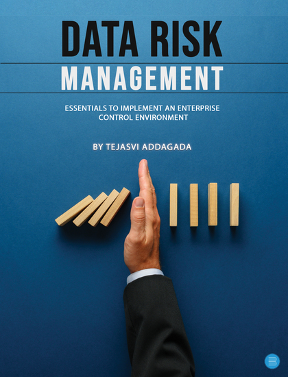 Data Risk Management - cover