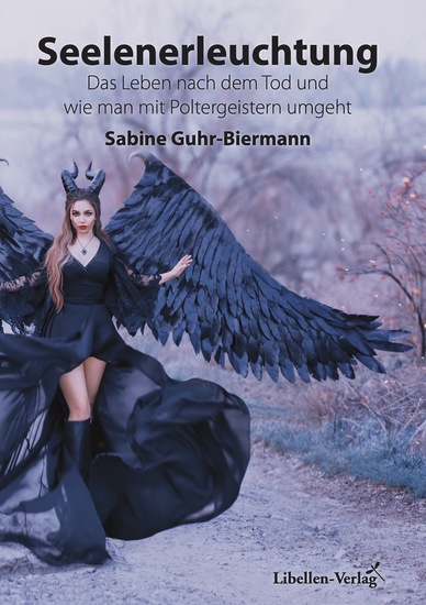 Seelenerleuchtung - Das Leben nach dem Tod und wie man mit Poltergeistern umgeht - cover