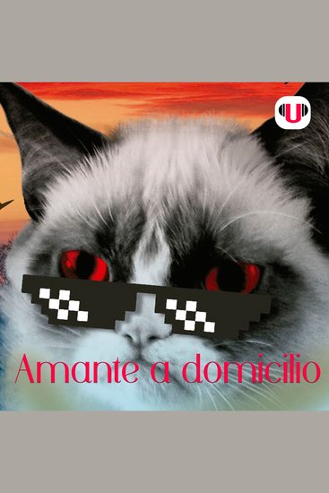 U_cat: amante a domicilio - cover