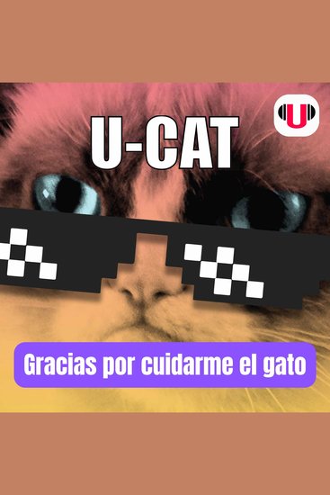 U_cat: gracias por cuidarme el gato - cover
