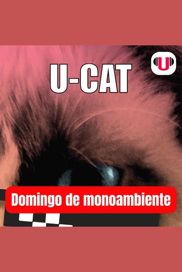 U_cat: domingo de monoambiente - cover