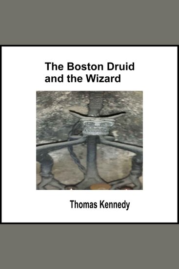 The Boston Druid and the Wizard - cover