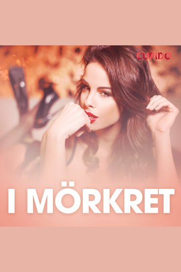 I mörkret – erotisk novell - cover