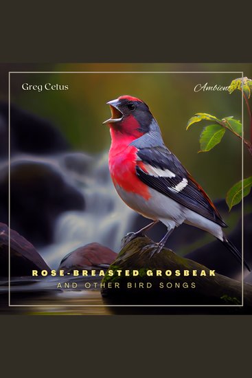 Rose-breasted Grosbeak and Other Bird Songs - Atmospheric Audio for Productivity and Focus - cover