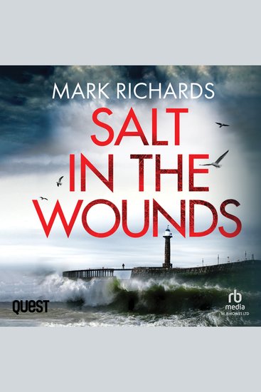 Salt in the Wounds - Michael Brady Book 1 - cover