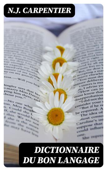 Dictionnaire du bon langage - cover