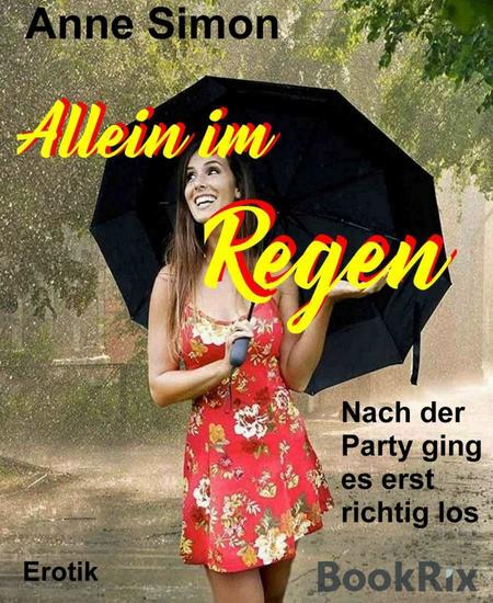 Allein im Regen - Nach der Party ging es erst richtig los - cover