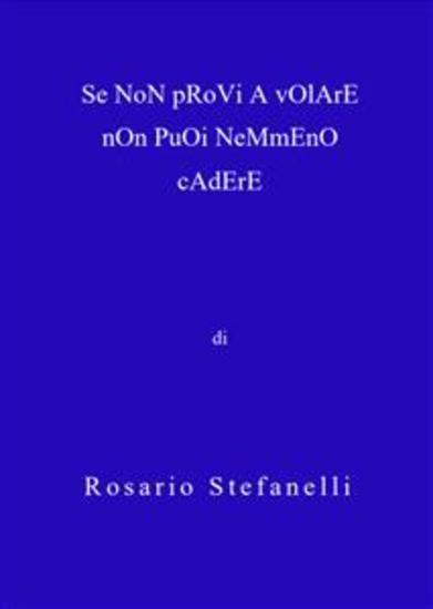 Se Non Provi A Volare Non Puoi Nemmeno Cadere - cover