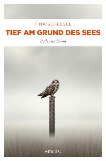 Tief am Grund des Sees - Bodensee Krimi - cover