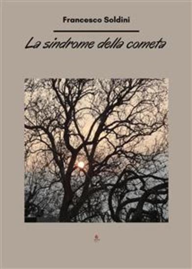 La sindrome della cometa - cover