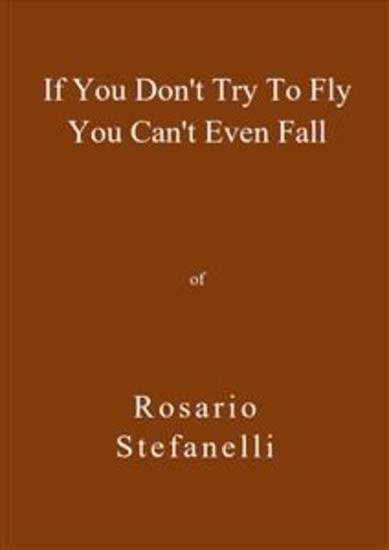 If You Don't Try To Fly You Can't Even Fall - cover